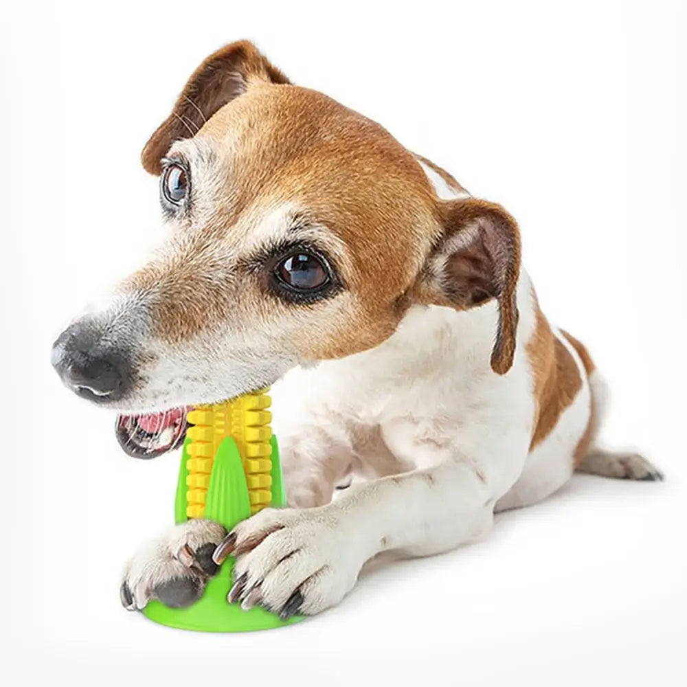 Corn Shape Pet Corn Cob Chew Toy