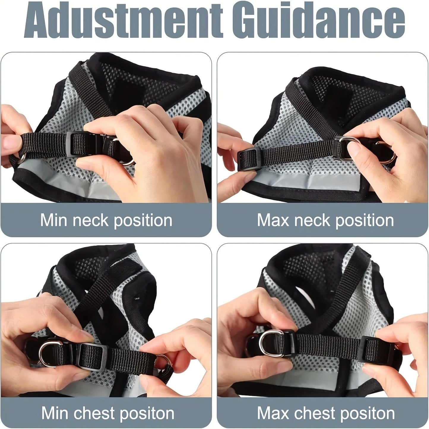 Leash Kittens Harness