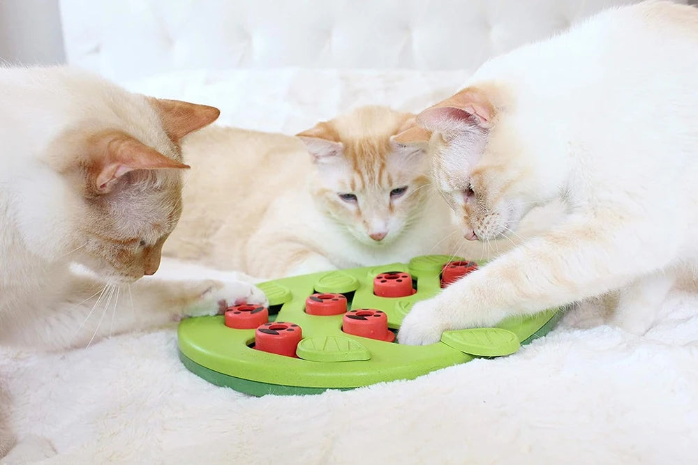 Interactive Cat Treat Puzzle Cat Toys