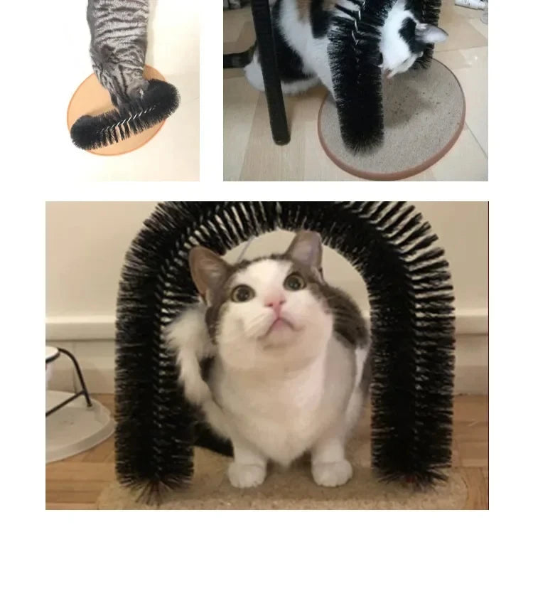 Cat Arch Self Groome Pamper Feline