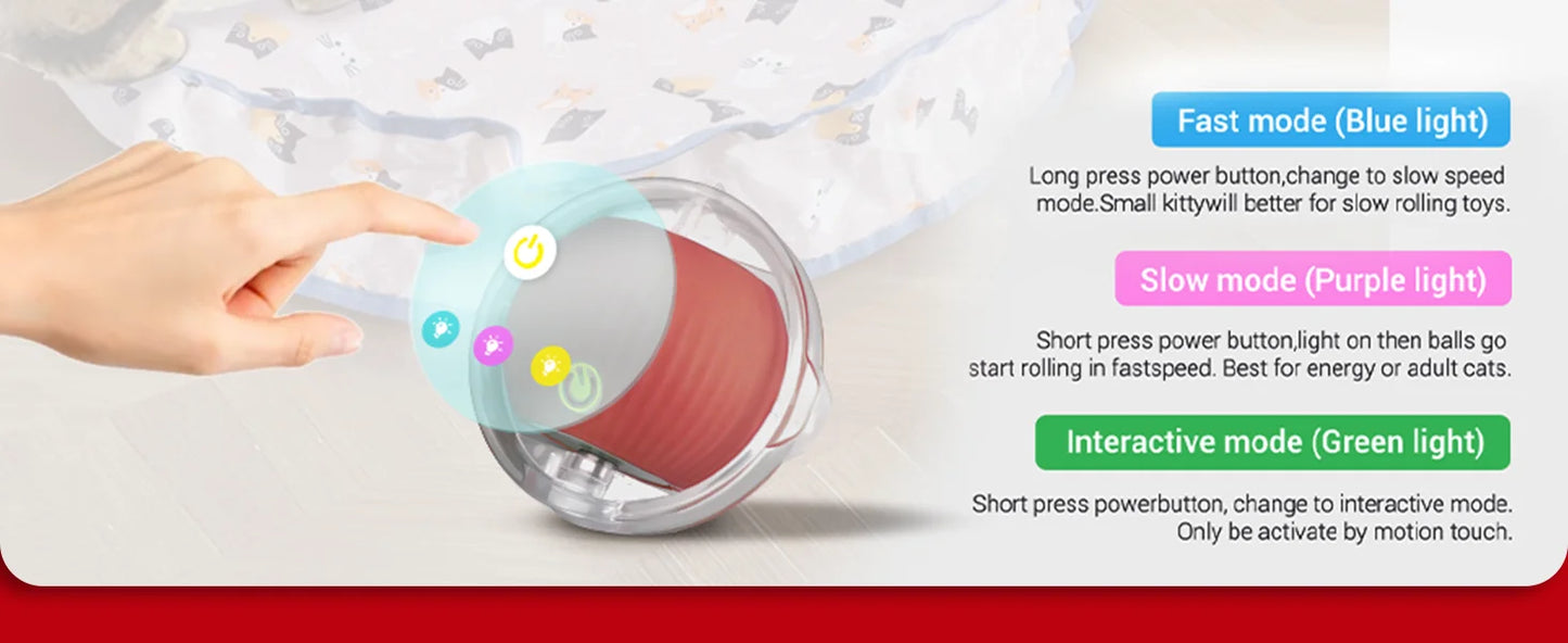 Interactive Cat Chase Toy