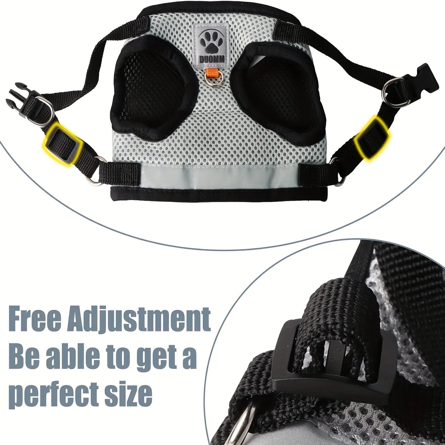 Leash Kittens Harness