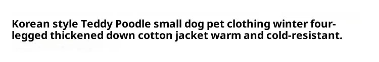 Korean Teddy Poodle Small Dog Jacket
