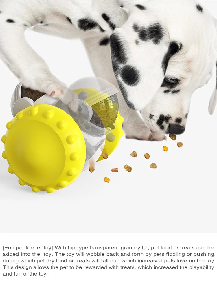 Pet Balance Car Slow Feeder Toy