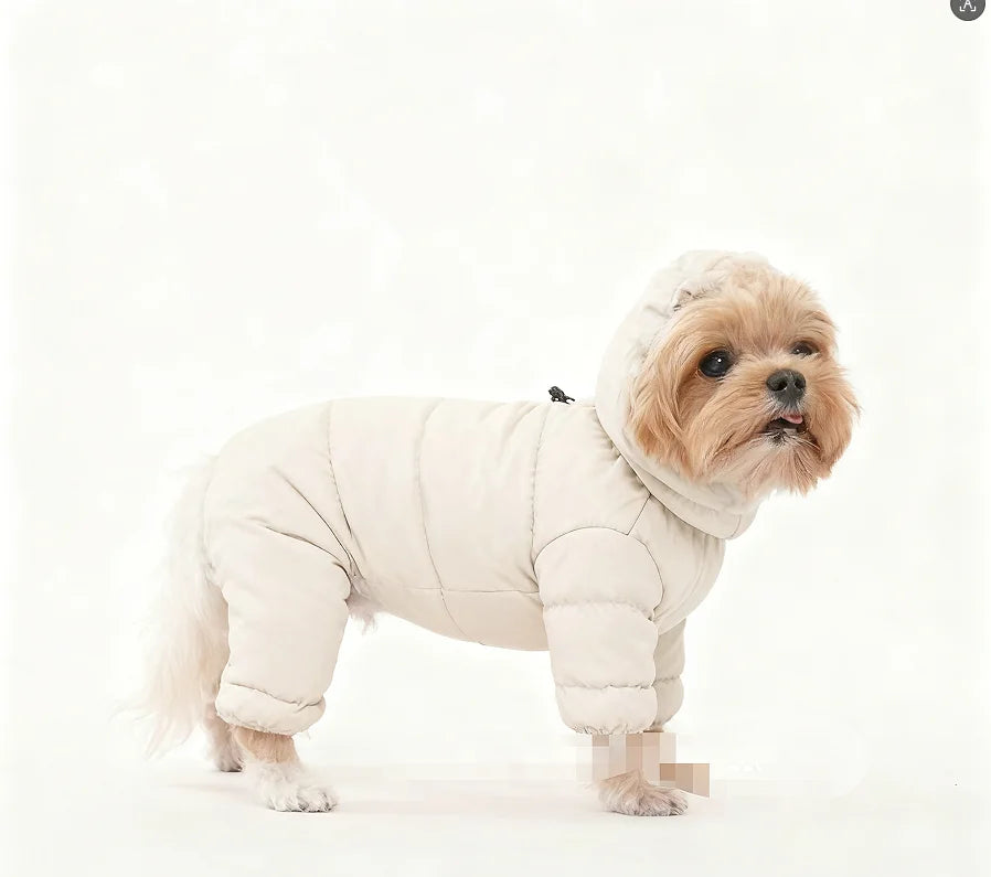 Korean Teddy Poodle Small Dog Jacket