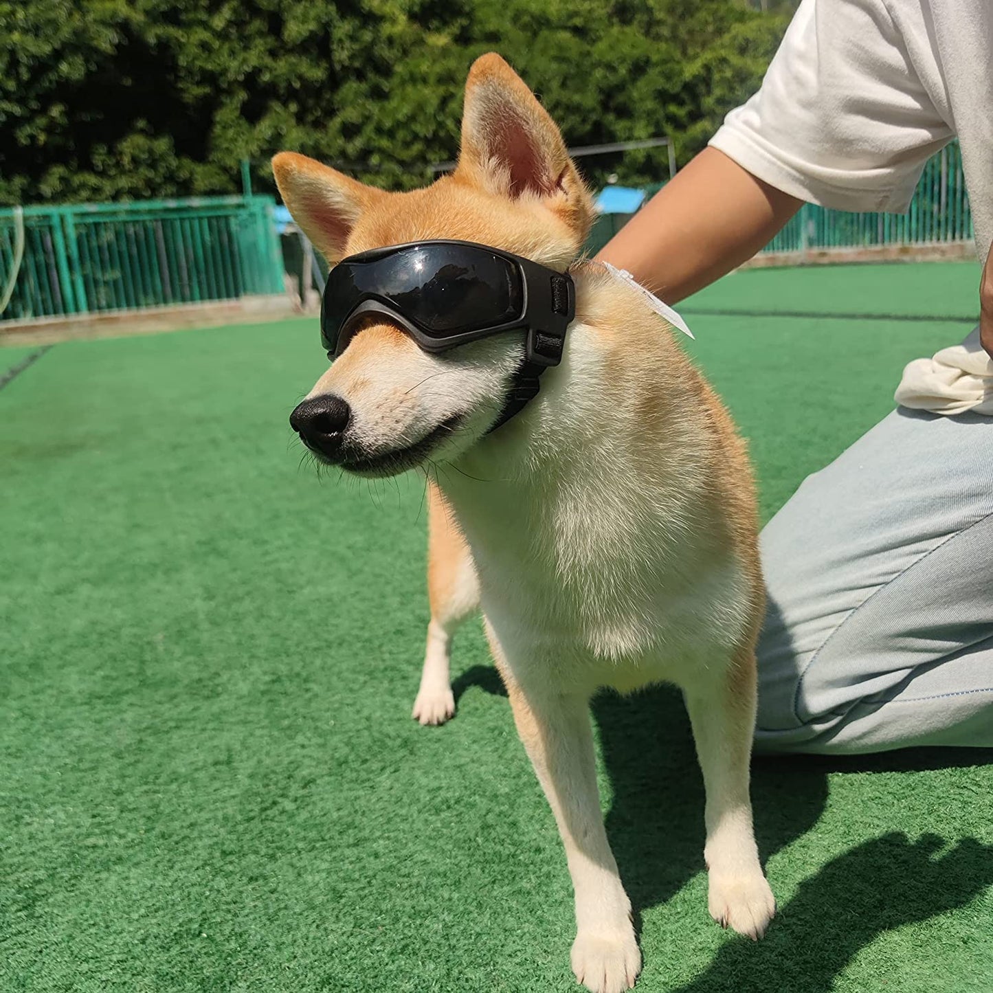 Small Breed UV Protection Dog Sunglasses
