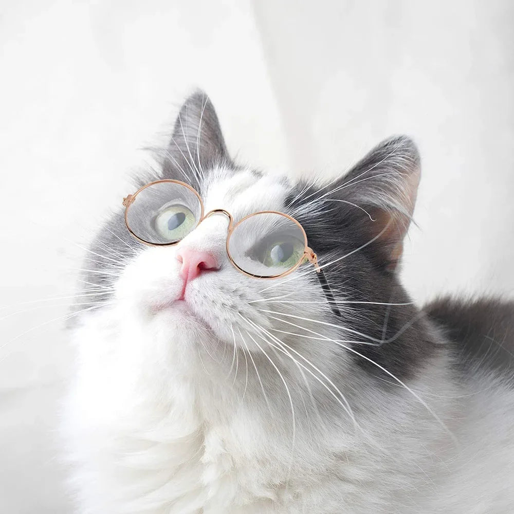 Round Metal Cat Classic Retro Sunglasses