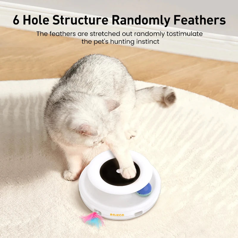2 in 1  Automatic Feather Fun Ball Toy