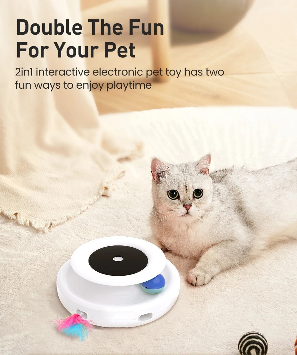 2 in 1  Automatic Feather Fun Ball Toy
