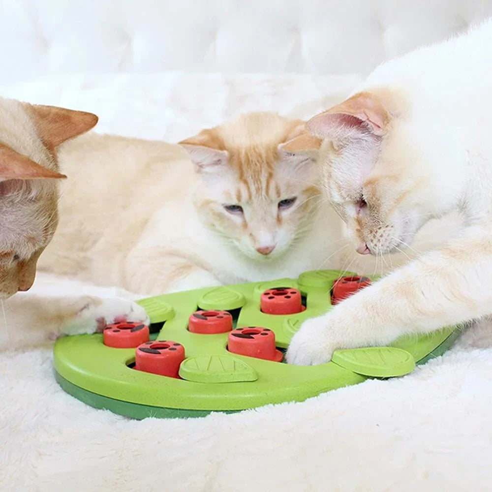 Interactive Cat Treat Puzzle Cat Toys