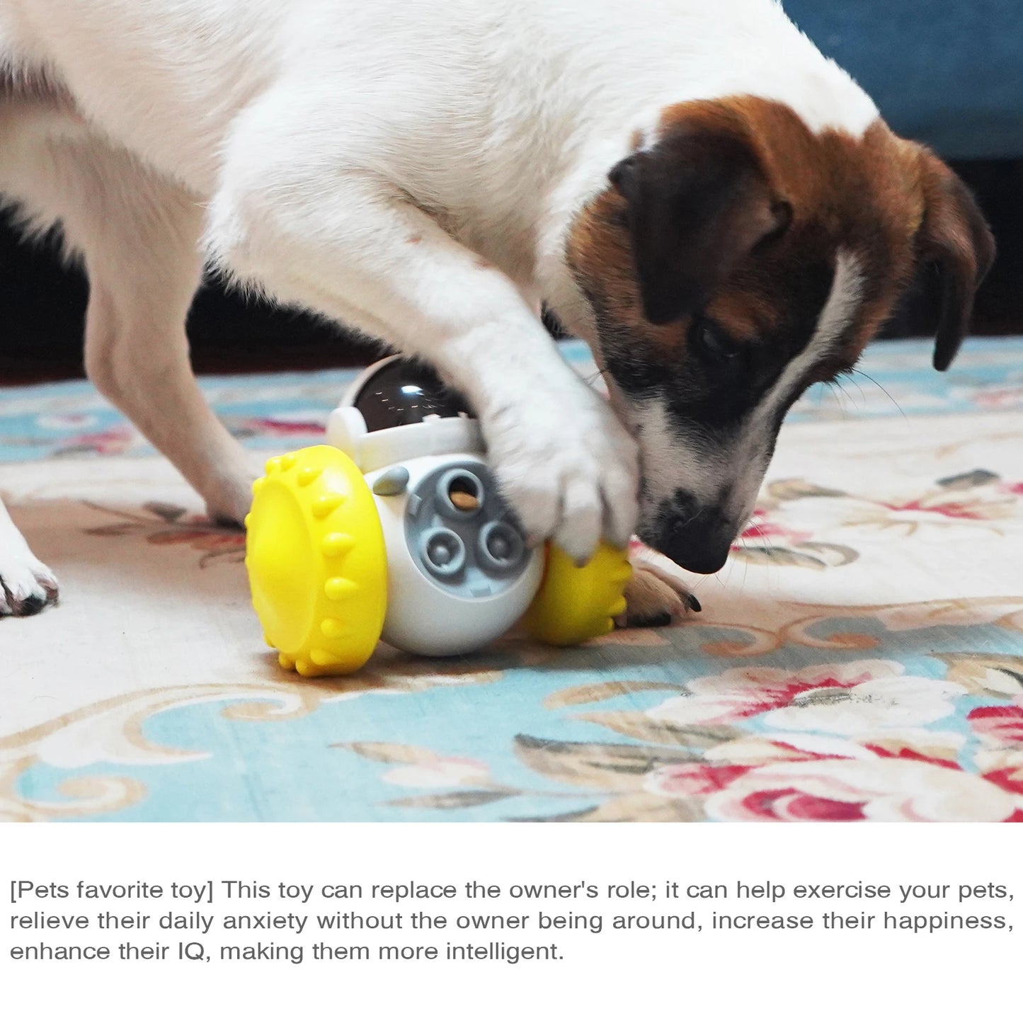 Pet Balance Car Slow Feeder Toy