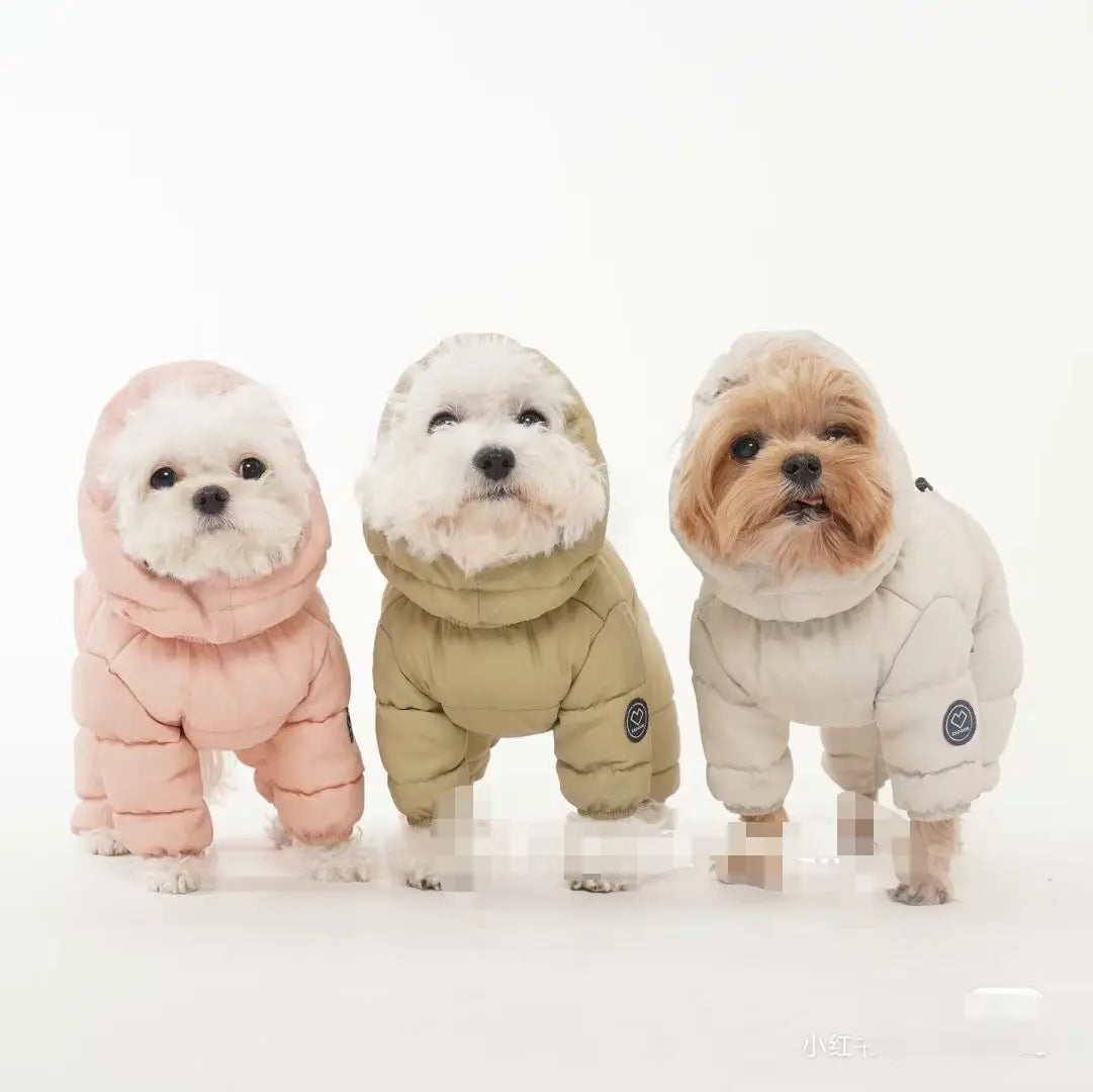 Korean Teddy Poodle Small Dog Jacket