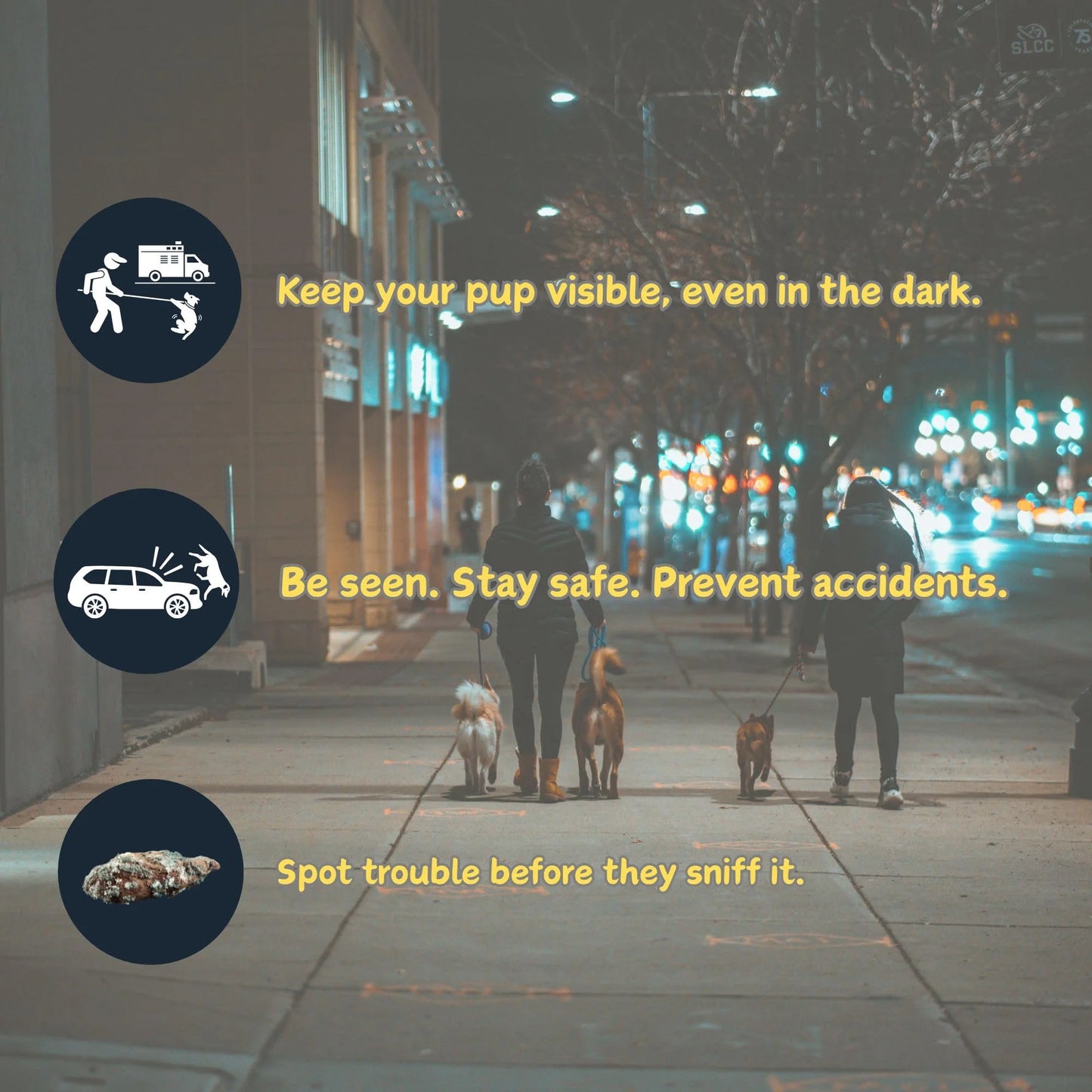 Illuminated Retractable Dog Leash