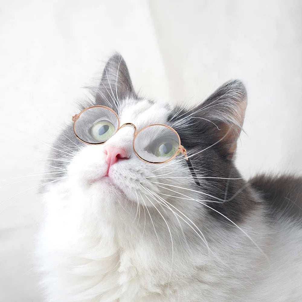 Round Metal Cat Classic Retro Sunglasses