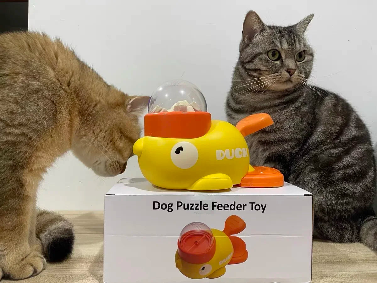 2-in-1 Interactive Dog Toy