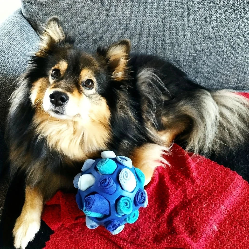 Sniffing Ball for Hiding Treats Dog Toy