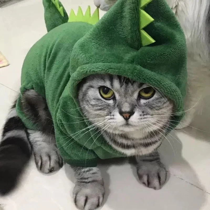 Funny Dinosaur Cosplay Costume