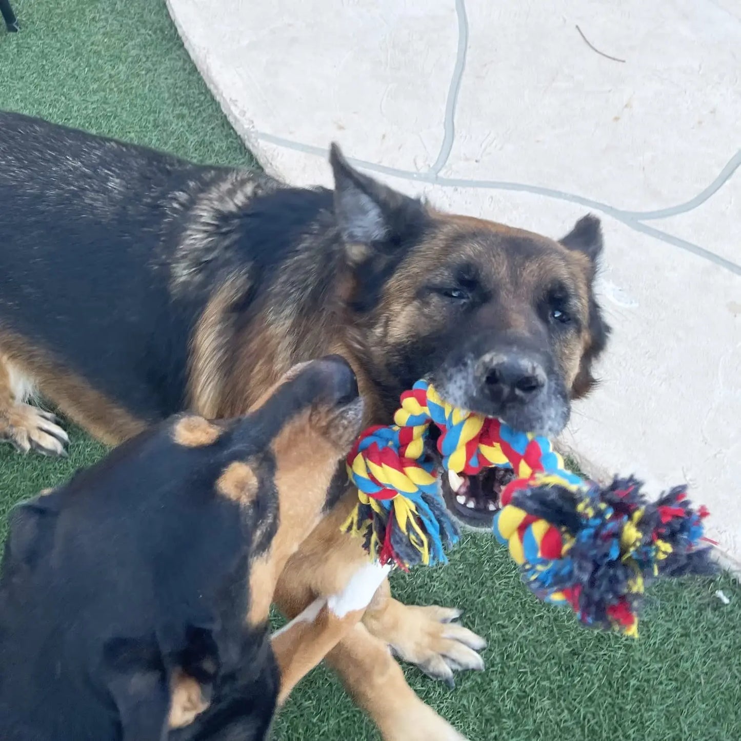 Pet Grind Corn Tooth Toys