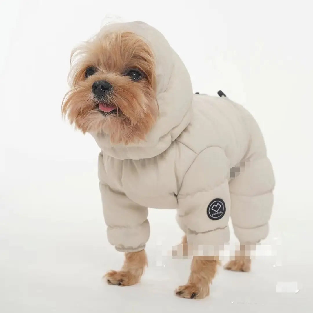 Korean Teddy Poodle Small Dog Jacket