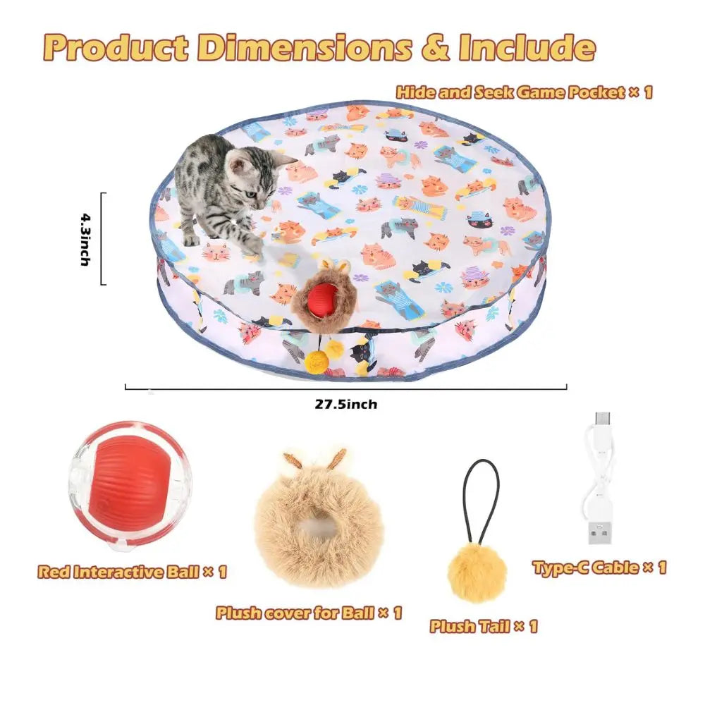 Interactive Cat Chase Toy