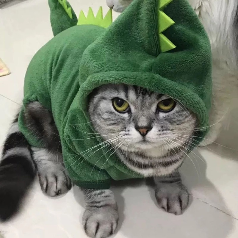 Funny Dinosaur Cosplay Costume