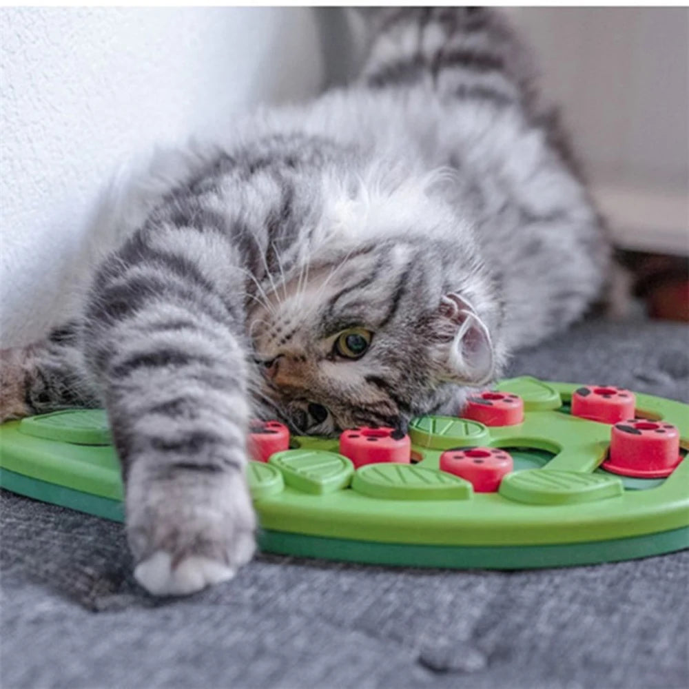 Interactive Cat Treat Puzzle Cat Toys