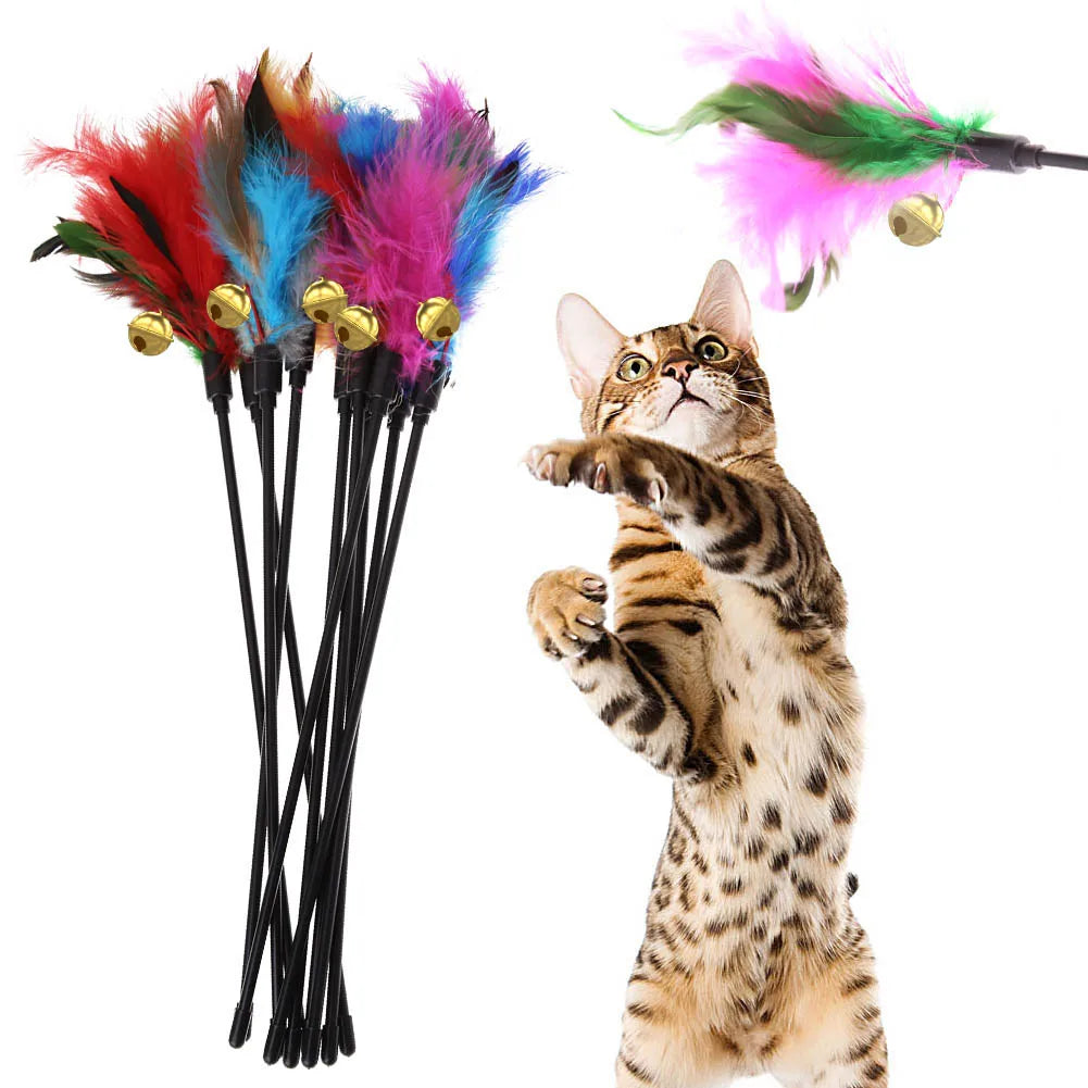 Cat Interactive Wand Colorful Feather Toy