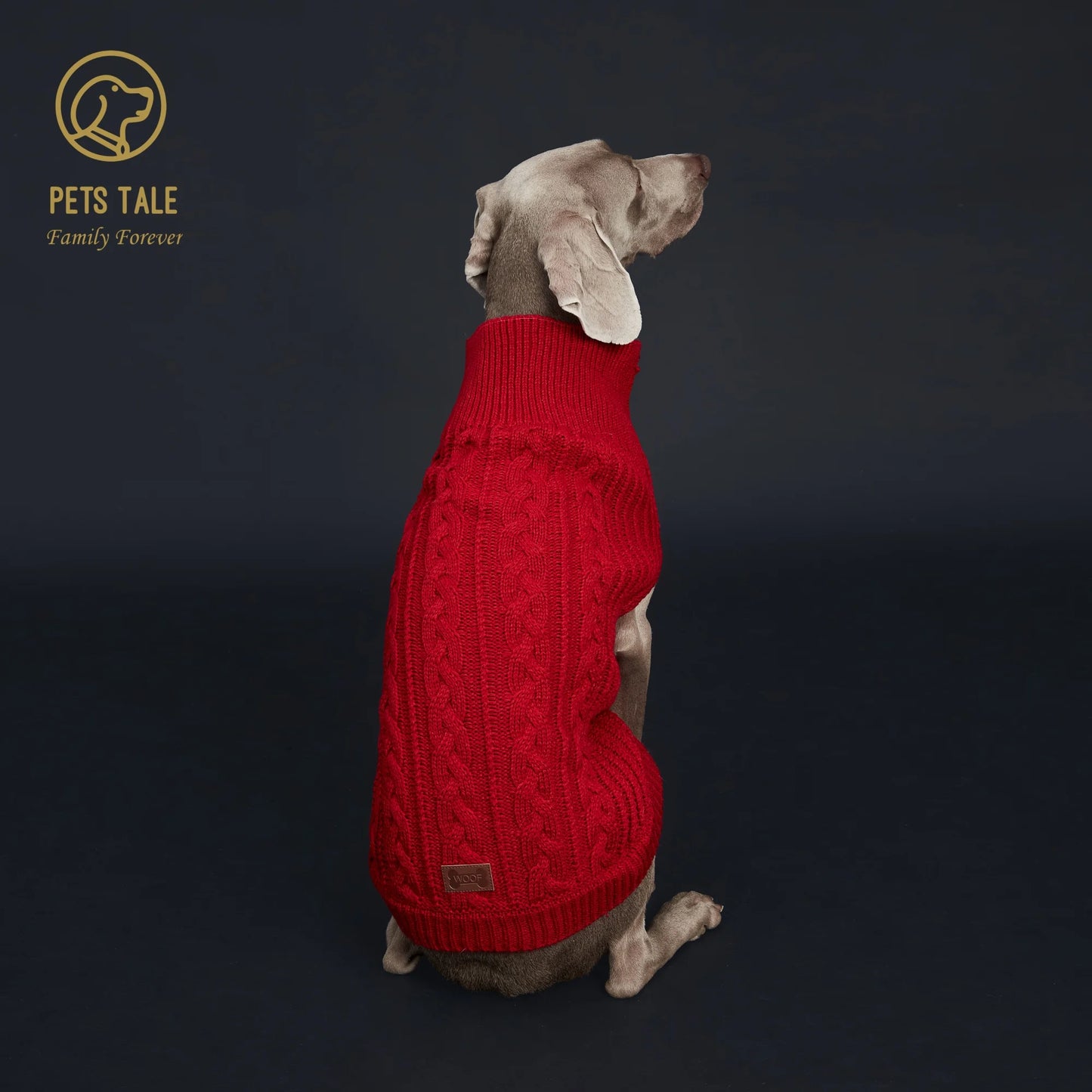 Cozy Knitted Pet Sweater
