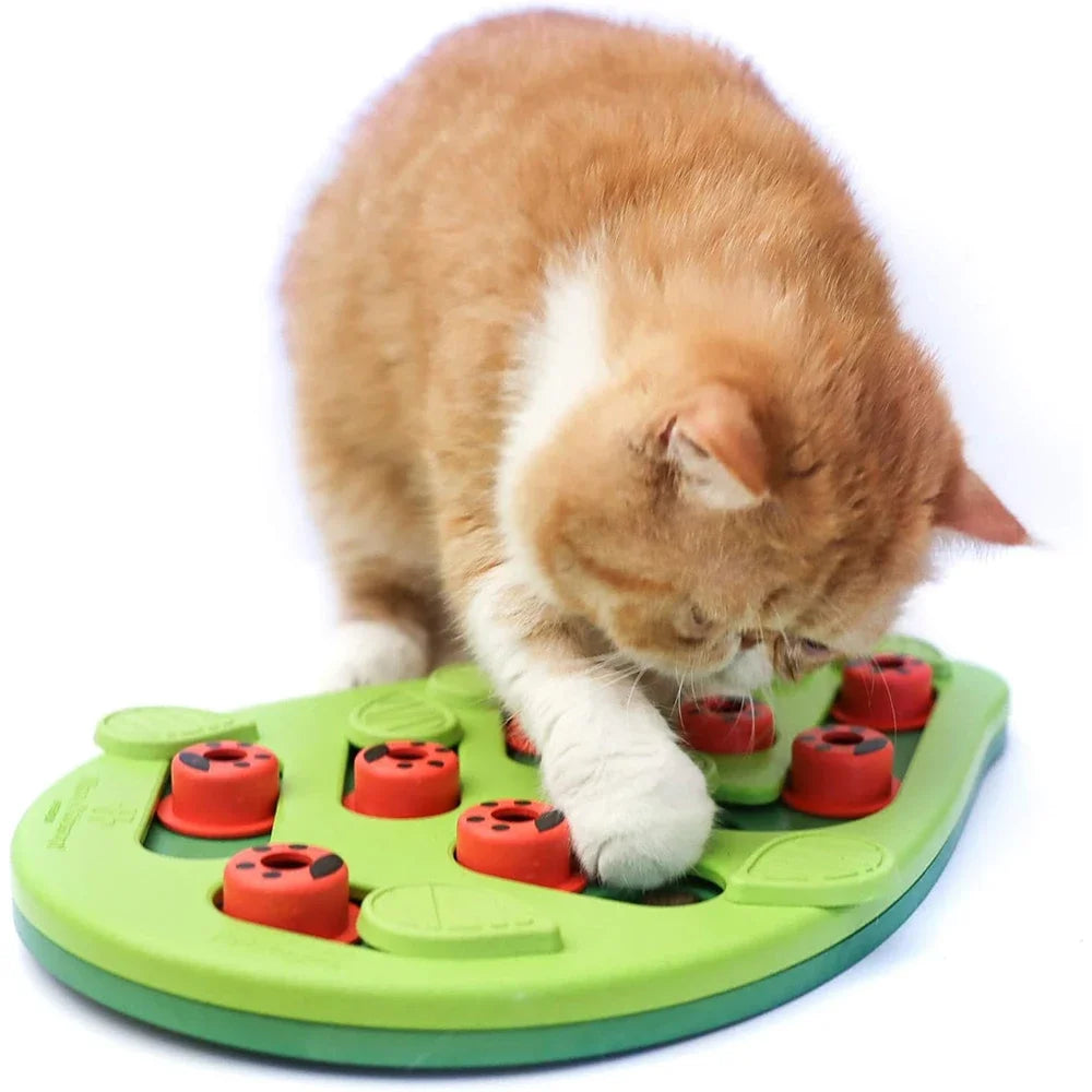 Interactive Cat Treat Puzzle Cat Toys