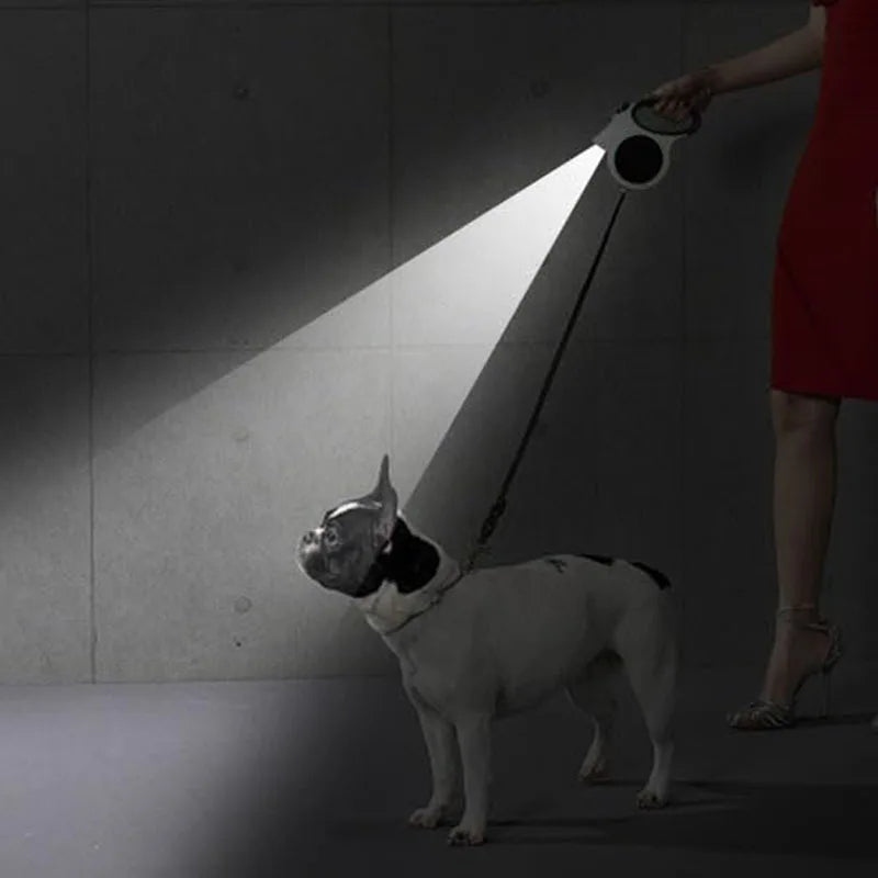 Illuminated Retractable Dog Leash