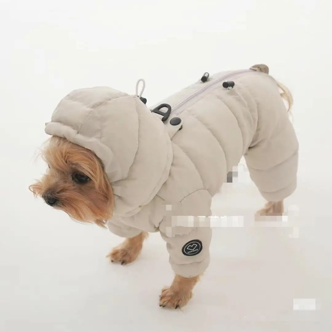 Korean Teddy Poodle Small Dog Jacket