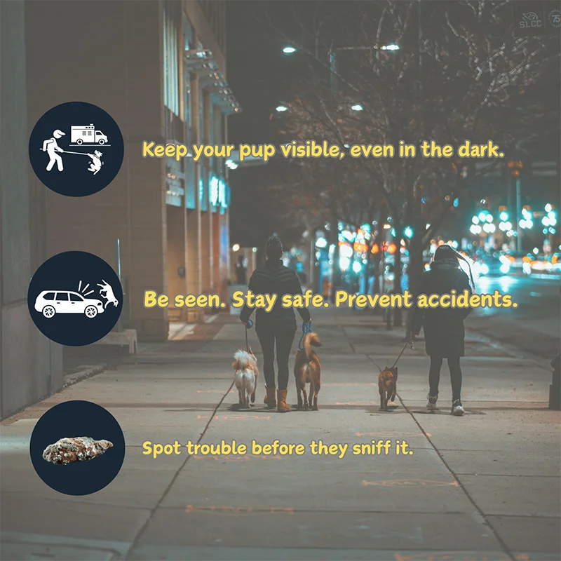 Illuminated Retractable Dog Leash