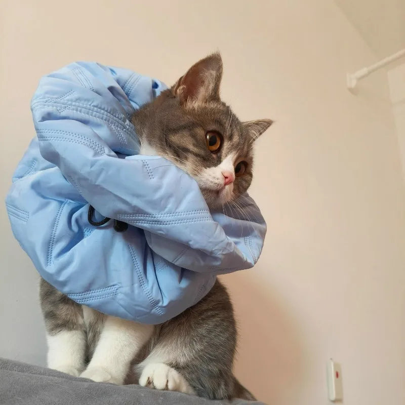 Cat Anti Lick Scarf Warm Elizabethan Collar