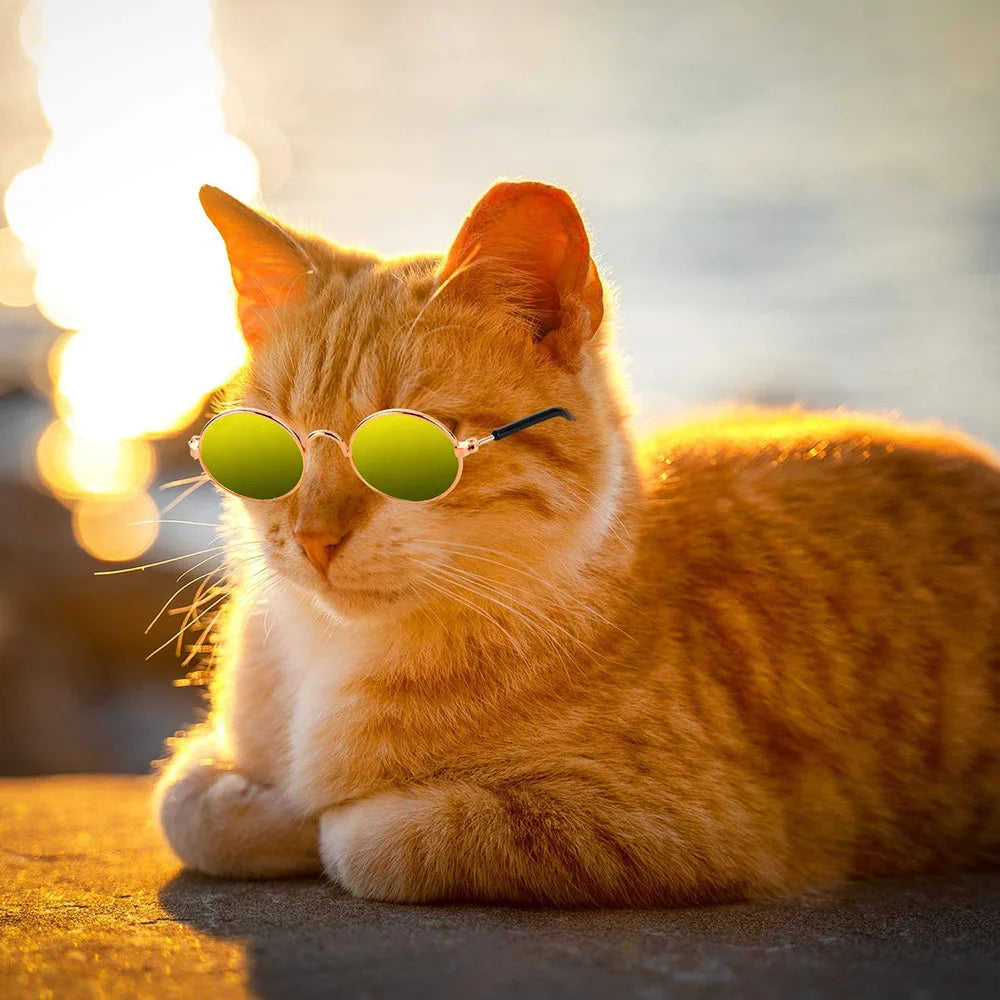 Round Metal Cat Classic Retro Sunglasses