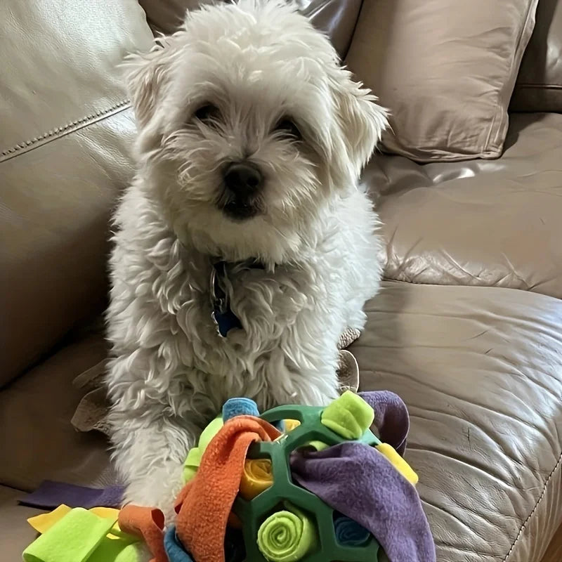 Sniffing Ball for Hiding Treats Dog Toy