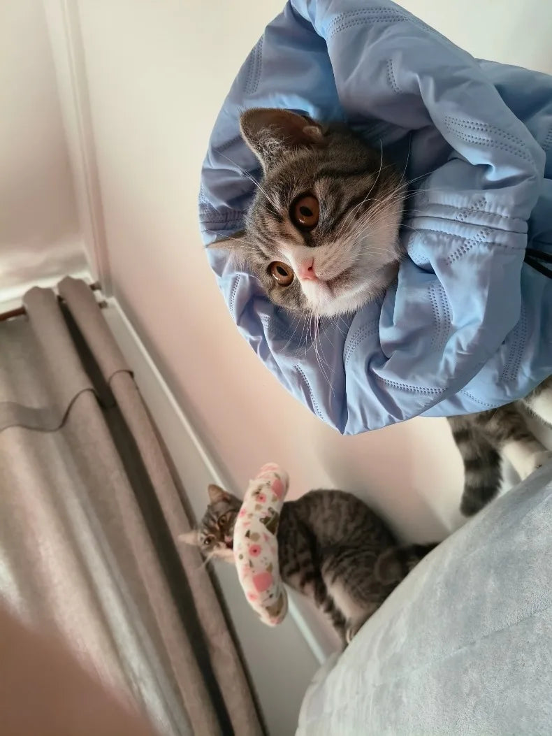 Cat Anti Lick Scarf Warm Elizabethan Collar