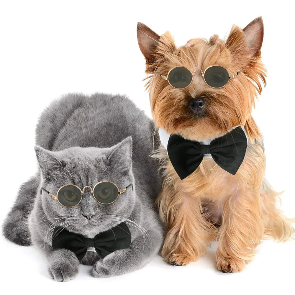 Round Metal Cat Classic Retro Sunglasses