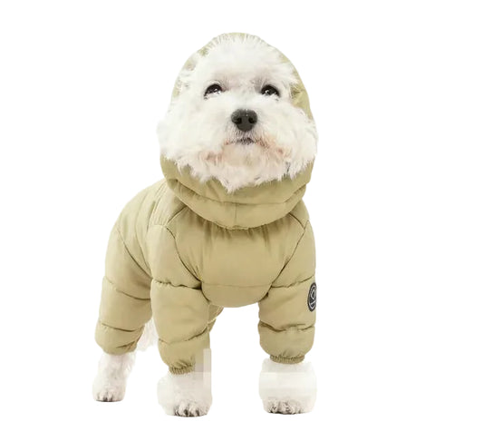 Korean Teddy Poodle Small Dog Jacket