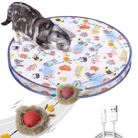 Interactive Cat Chase Toy