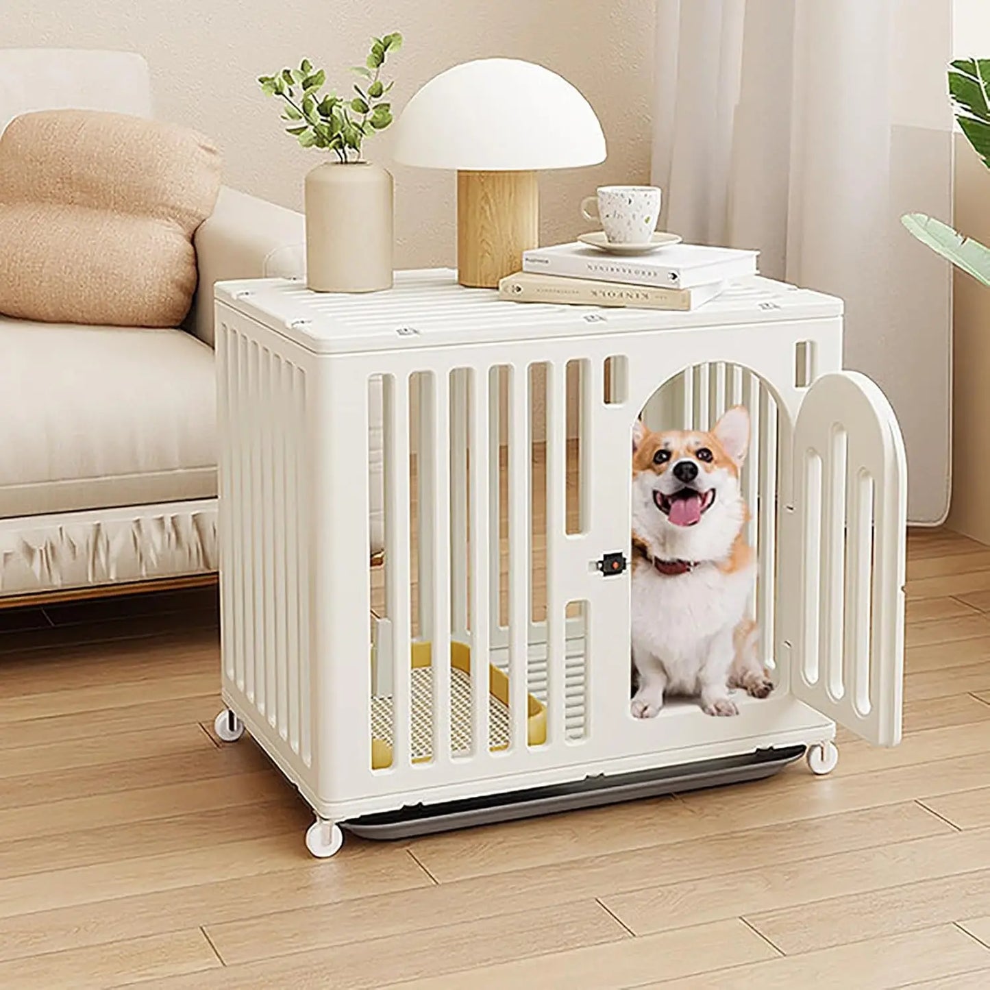 Cat Wheel and Door Lock Cage