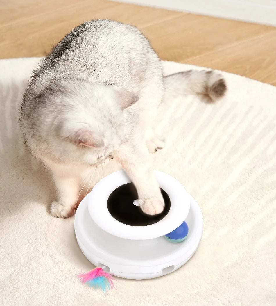 2 in 1  Automatic Feather Fun Ball Toy