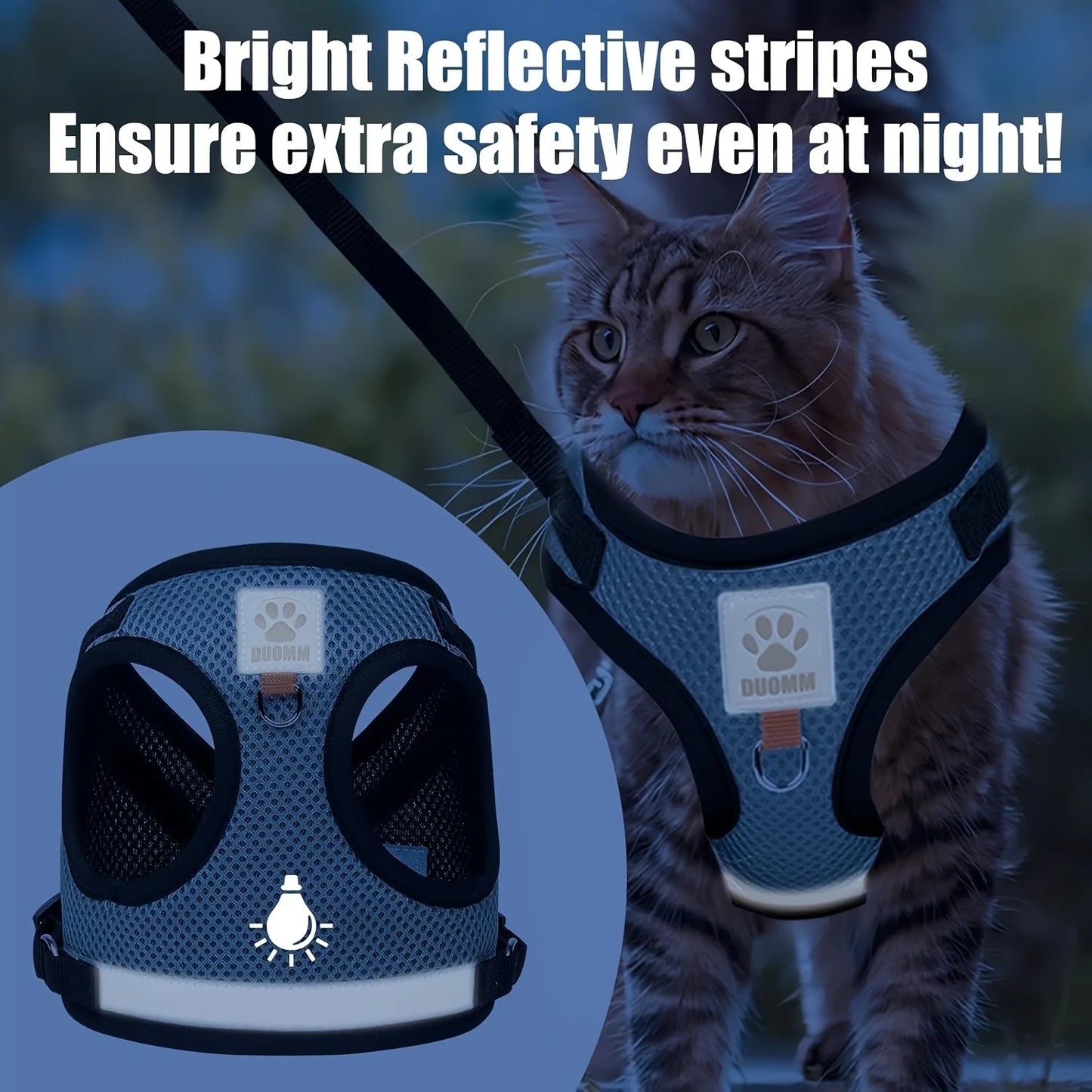 Leash Kittens Harness