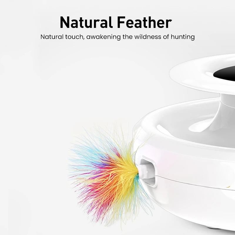 2 in 1  Automatic Feather Fun Ball Toy