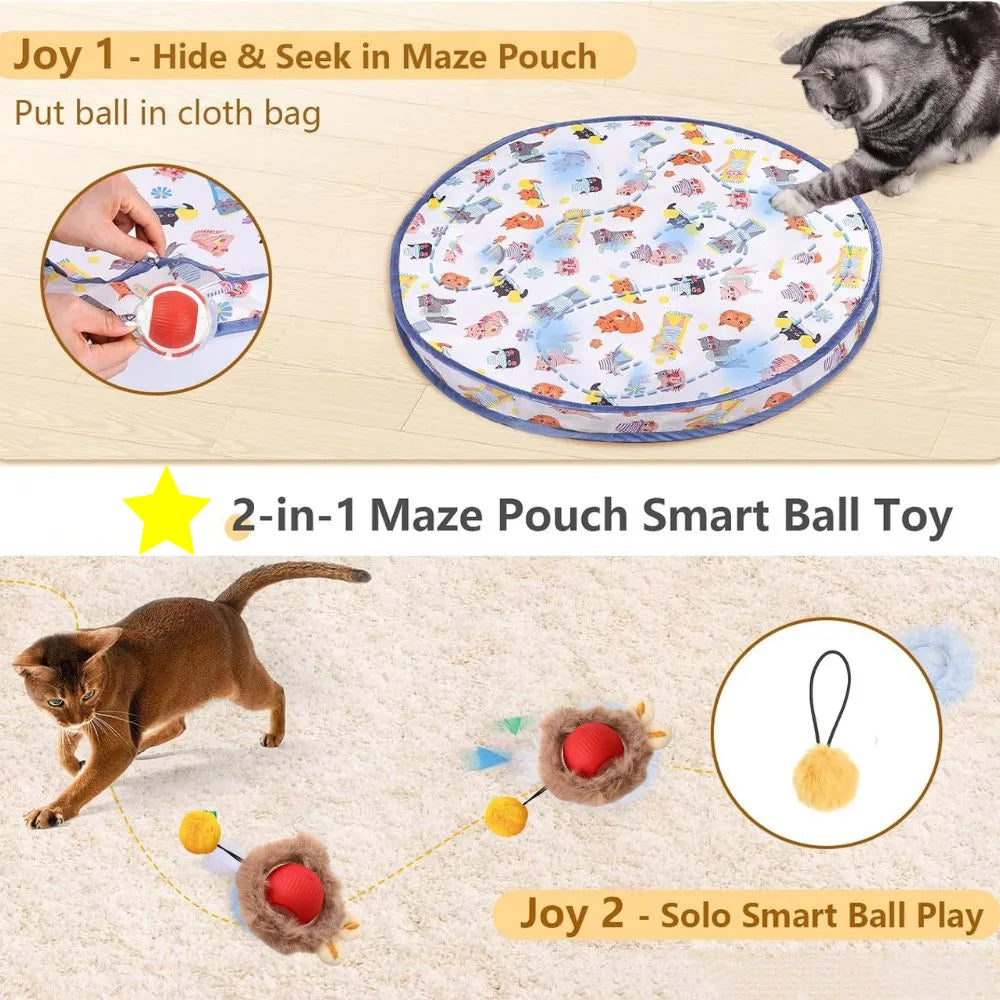 Interactive Cat Chase Toy