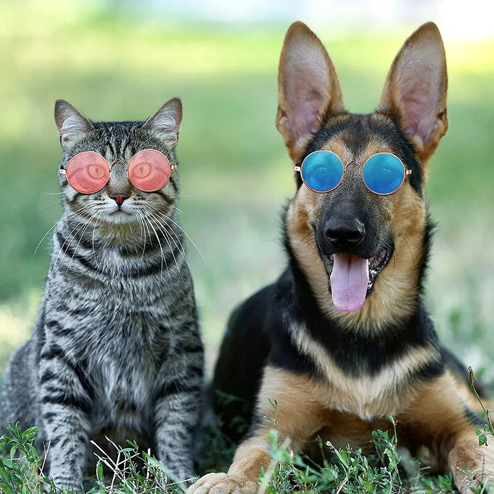 Round Metal Cat Classic Retro Sunglasses