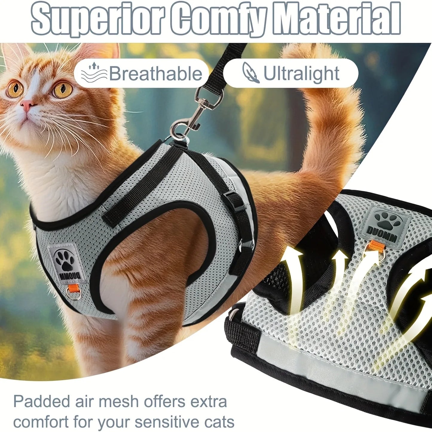 Leash Kittens Harness