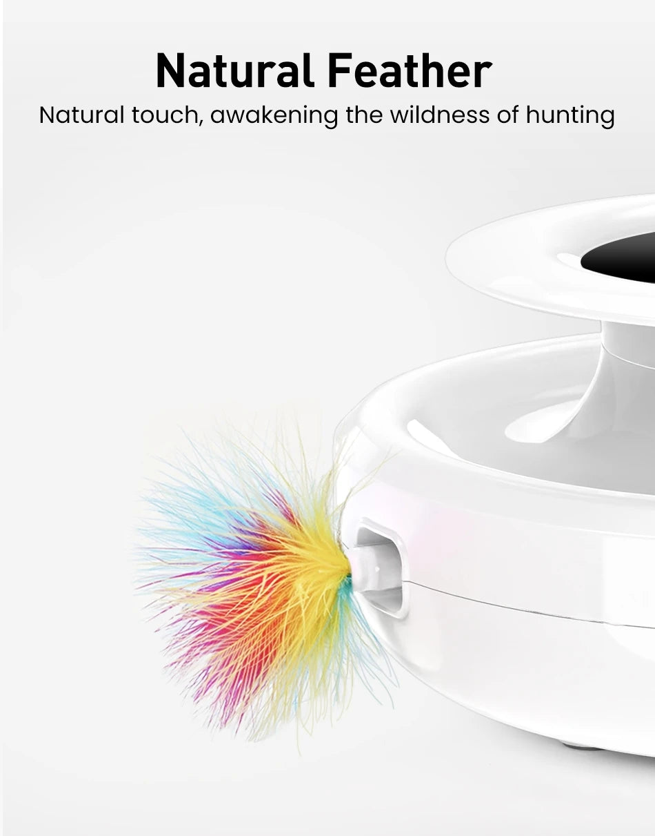 2 in 1  Automatic Feather Fun Ball Toy