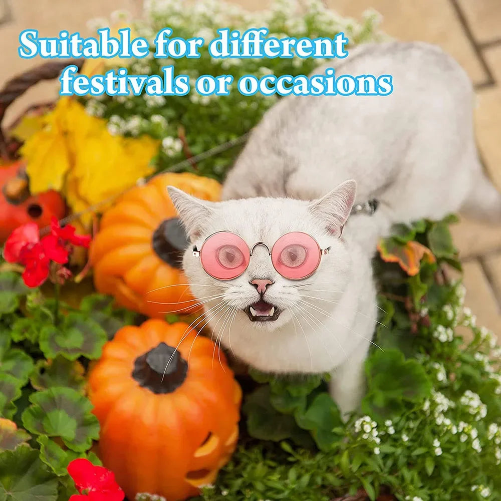 Round Metal Cat Classic Retro Sunglasses