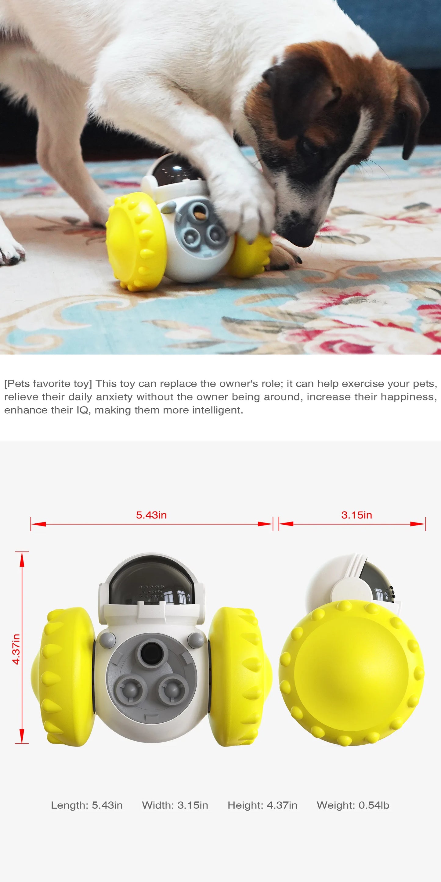 Pet Balance Car Slow Feeder Toy