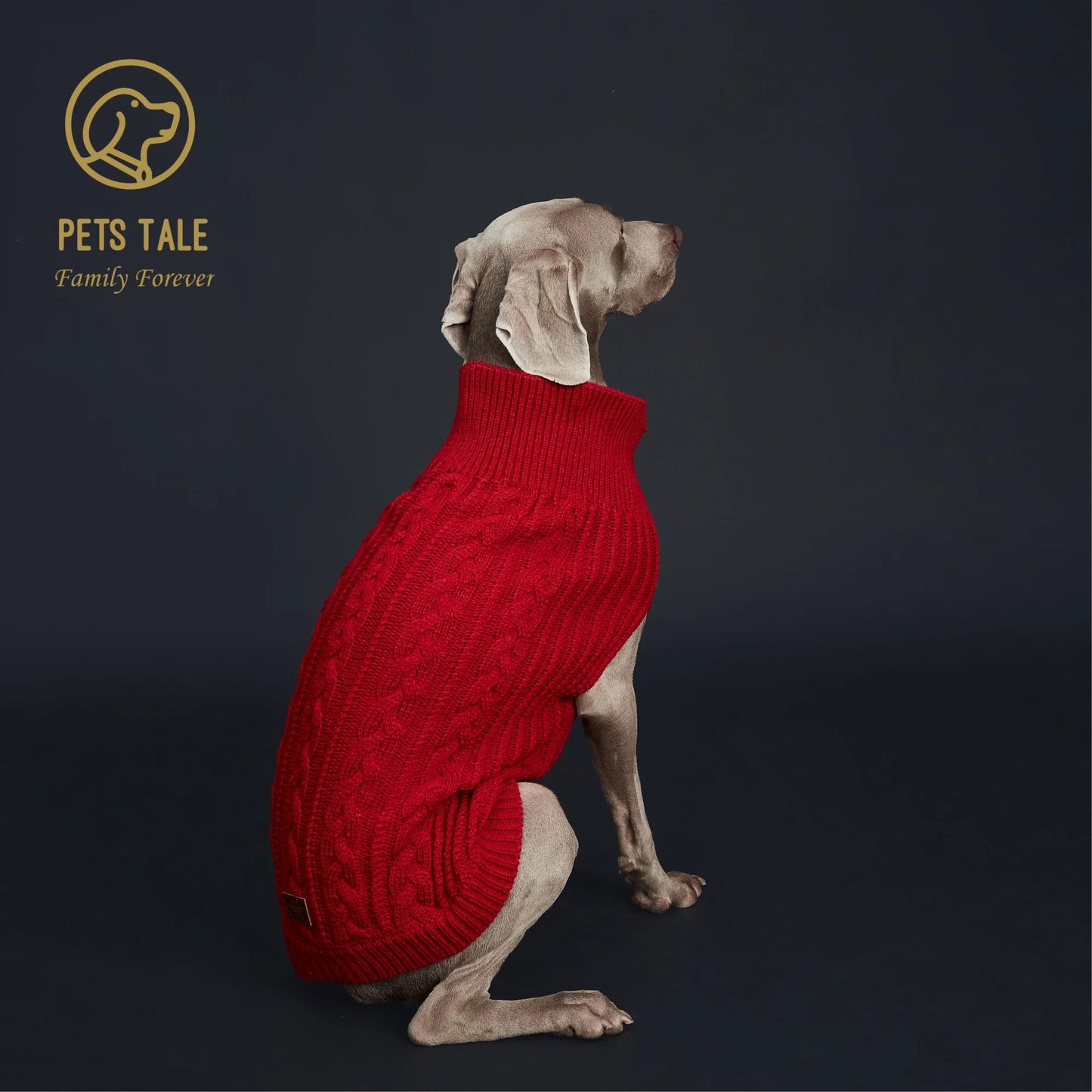 Cozy Knitted Pet Sweater